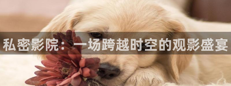 悠久影院电视剧免费观看高清：私密影院：一场跨越时空的观影盛宴