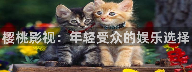 悠久影院免费看电视剧
