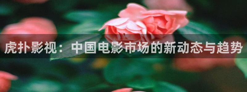 悠久影院手机免费观看：虎扑影视：中国电影市场的新动态与趋势